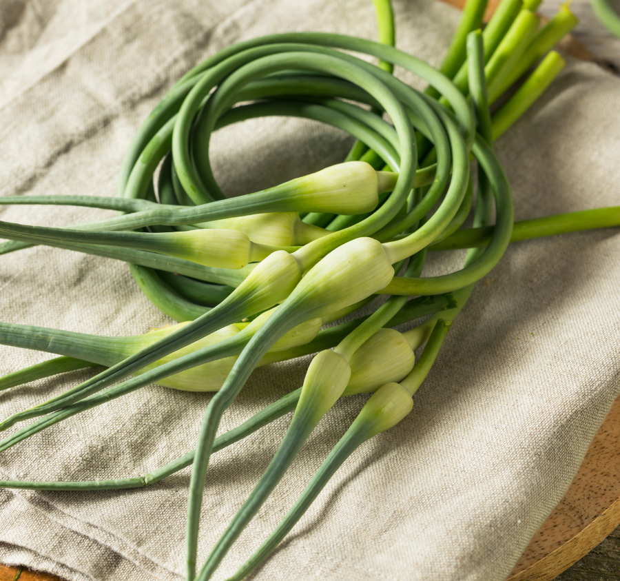 Preserving Garlic Scapes 3 Different Ways